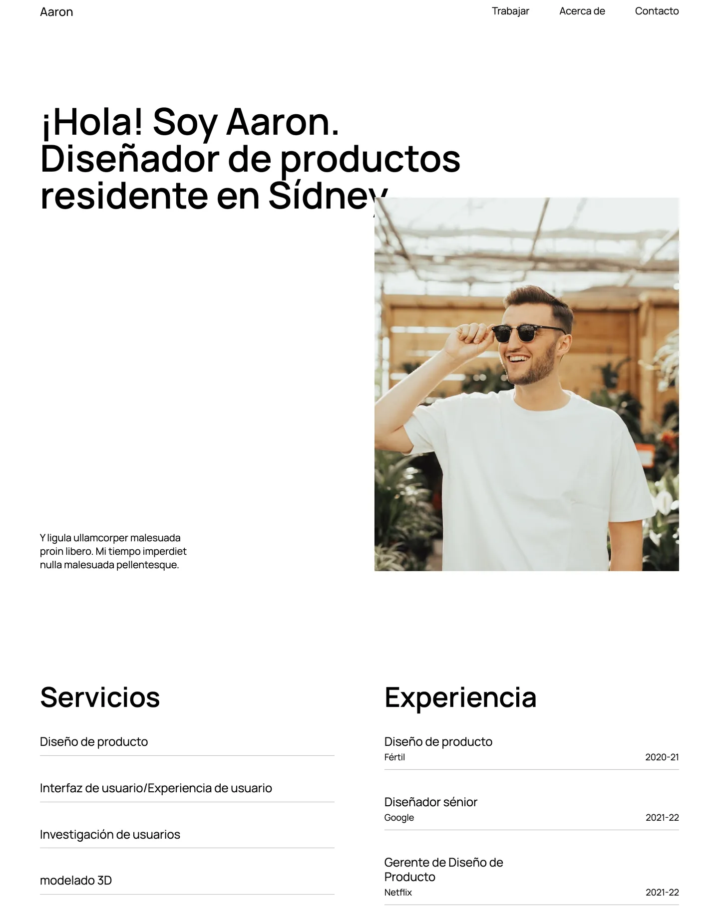 Diseño de página web para agencias y estudios