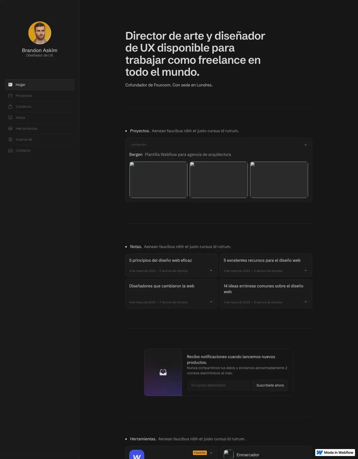 Diseño de página web para agencias y estudios