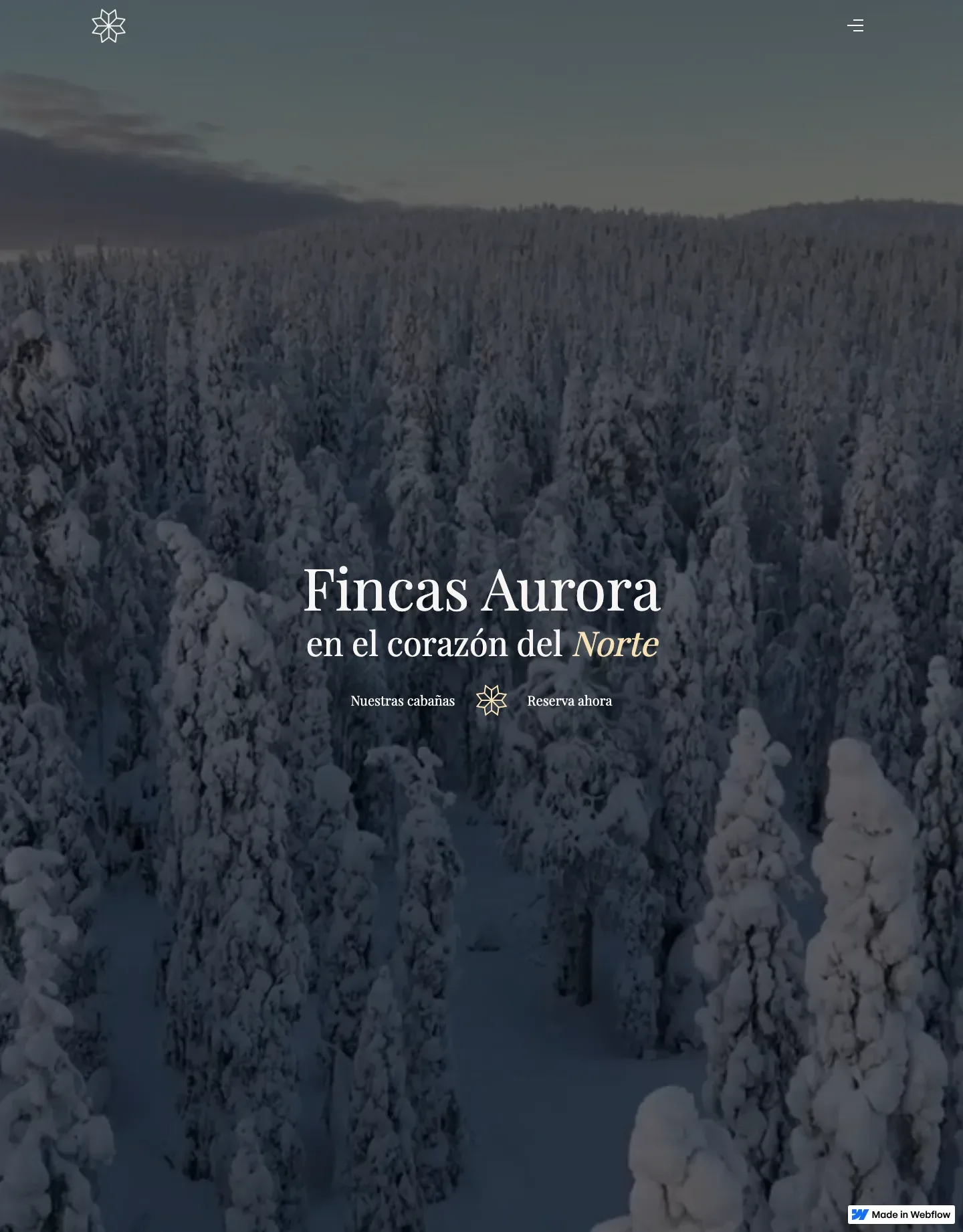 Diseño de página web para inmobiliarias