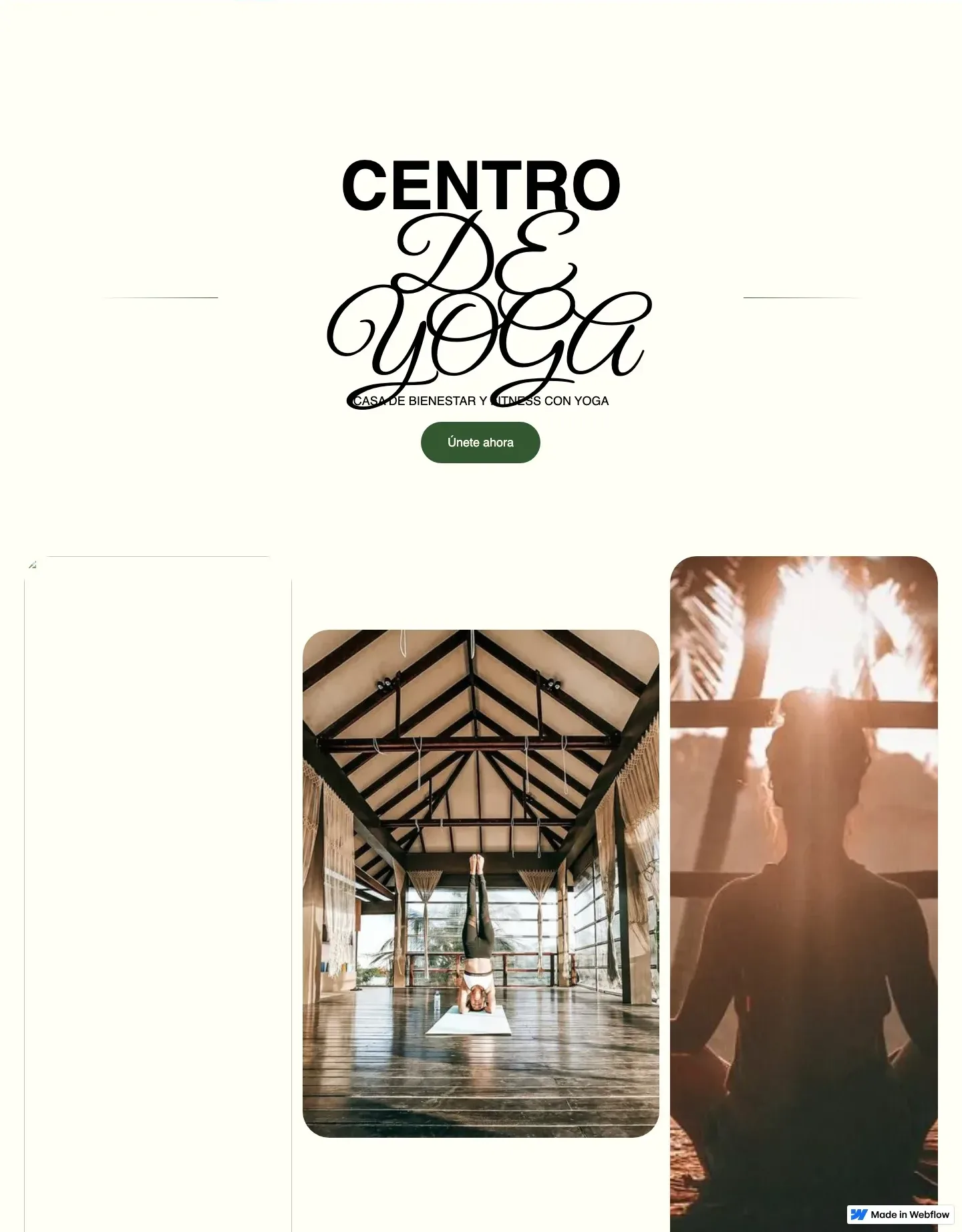 Diseño de página web para salud y bienestar