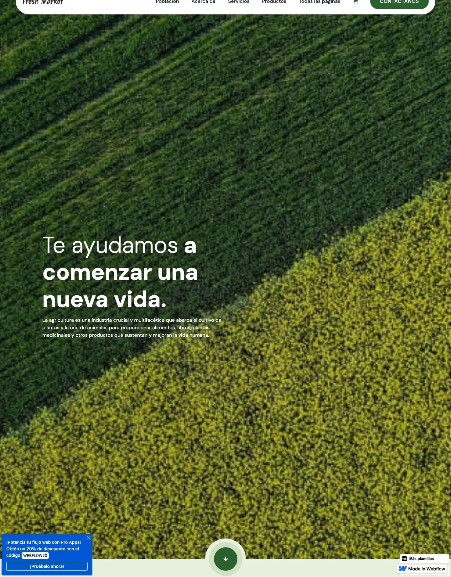 Diseño de página web para tienda online